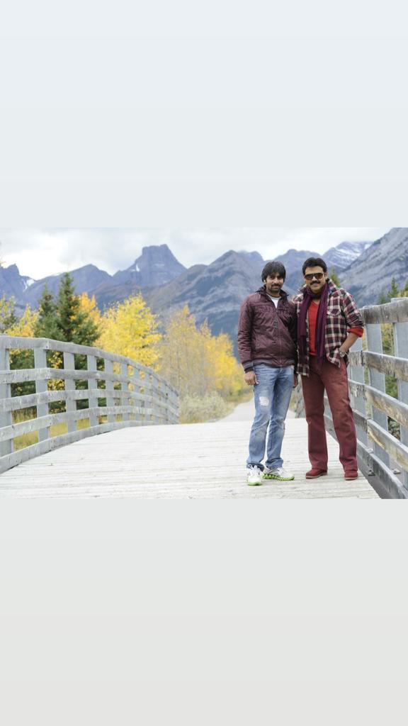 megopichand's tweet photo. Wishing the most versatile and humble human being @VenkyMama garu a very Happy birthday!! 🎉 
It's a great working experience to cherish for a long time. My best wishes and love to you sir ❤️

#HBDVictoryVenkatesh https://t.co/KW3lYnzJhY