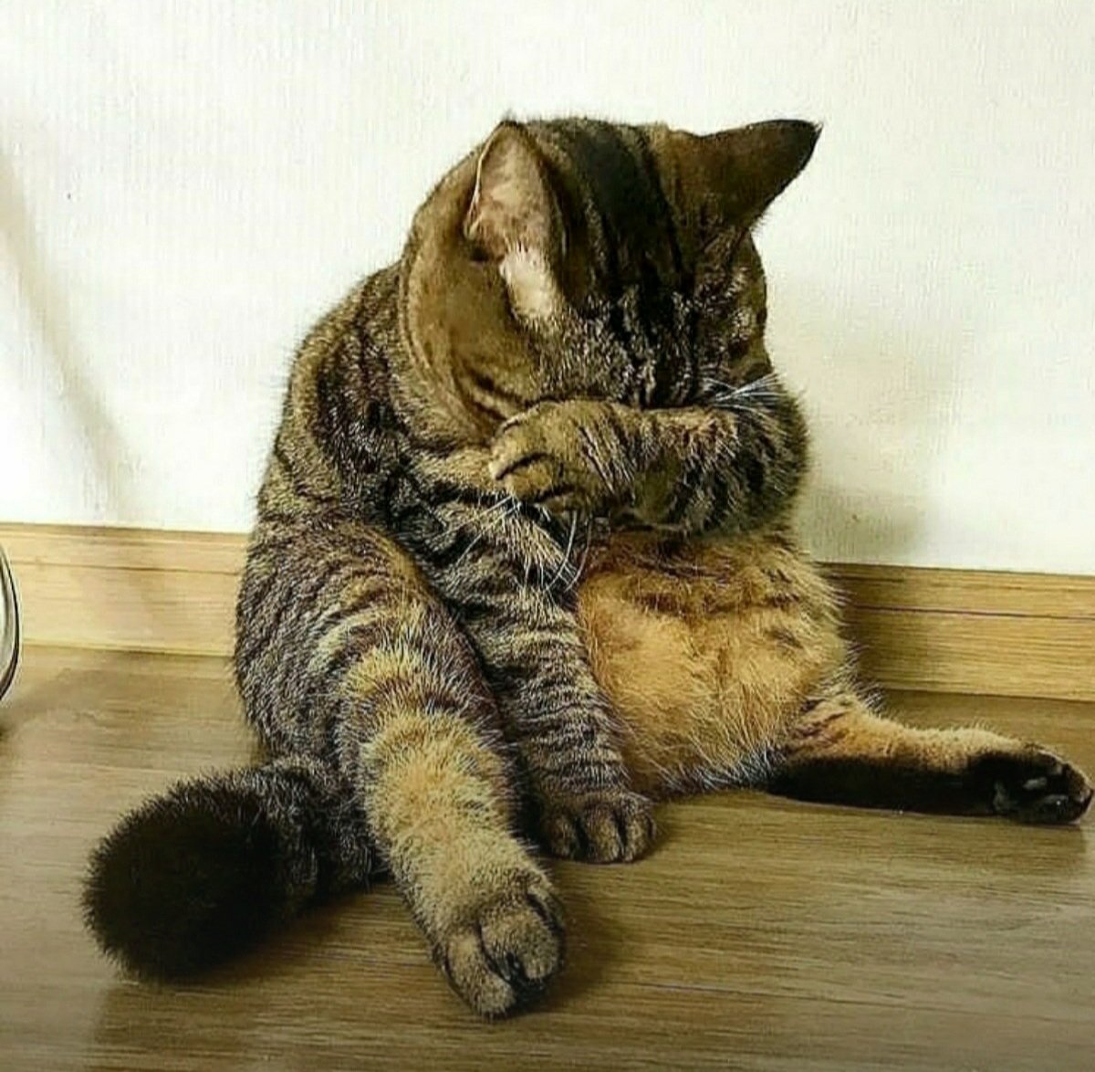 chda7777's tweet photo. Feeling when it's Monday morning after a two weeks holiday 🙀
#BackToReality #OhNo #GoHide #MondayFeeling https://t.co/5jkmaeiit0