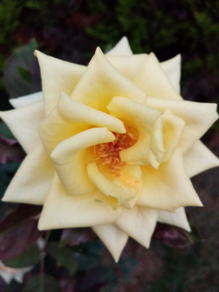 Günaydın, güzel bir hafta olsun inşallah.