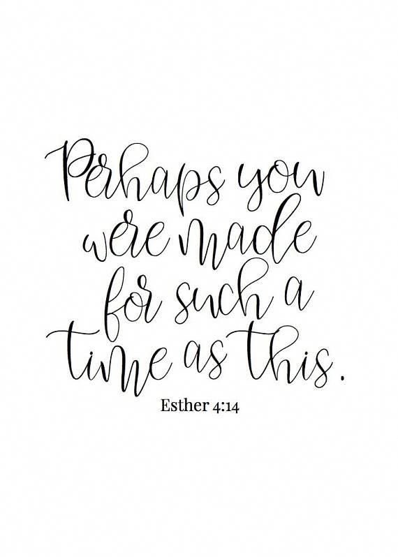 Jadyn Ehresman tweet media