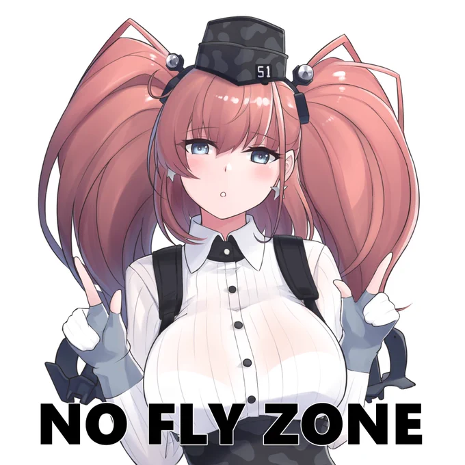 防 空 自 慢 