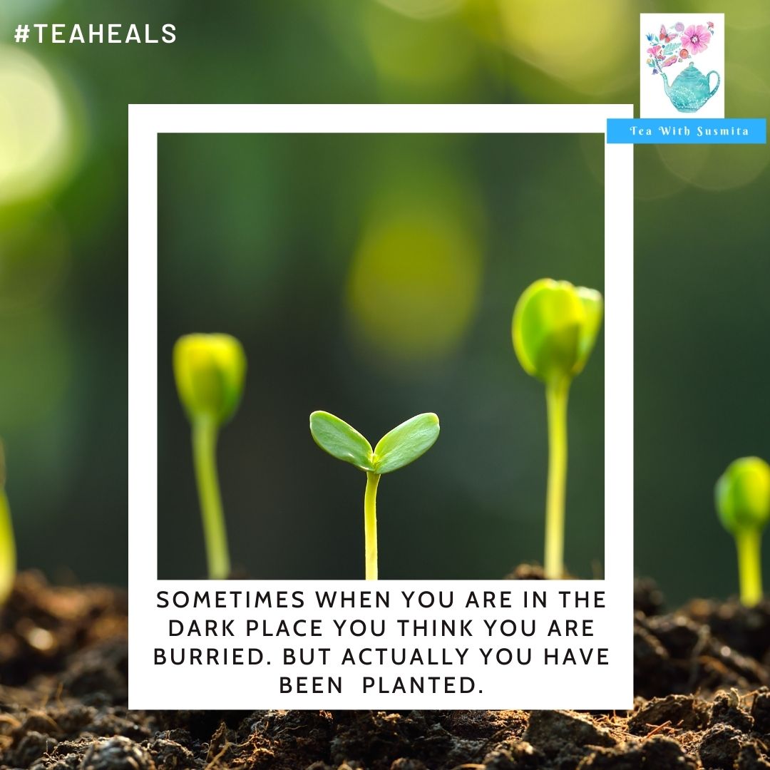 TeawithSusMita's tweet photo. Build yourself up as you wish.
It's your life. It's one life.
#teaheals #teahelps
#teawithsusmita #mondaythoughts #itsgonnabeokay https://t.co/MxhQDfRYFT