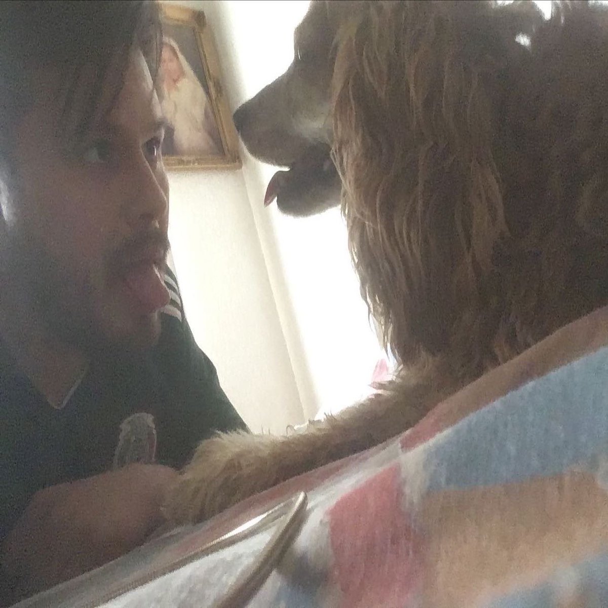 plexii's tweet photo. Hasta siempre, mi brownie ❤️ fuiste y seguirás siendo la mejor de todas. Gracias por todo y perdón si alguna vez te falle. Te amo mi perry 🐾 https://t.co/lCR8tCSEuA