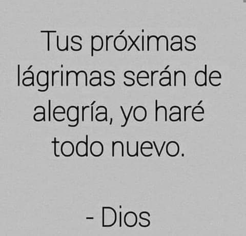Lord_cherry5's tweet photo. 🙌 https://t.co/Q1yuPPBUkS