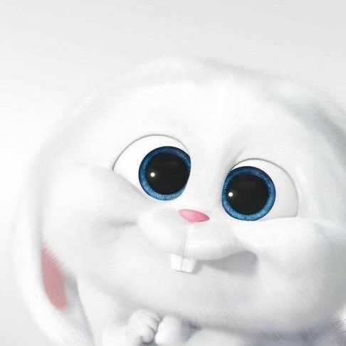 yeowo file (@yeowofile) on Twitter photo 