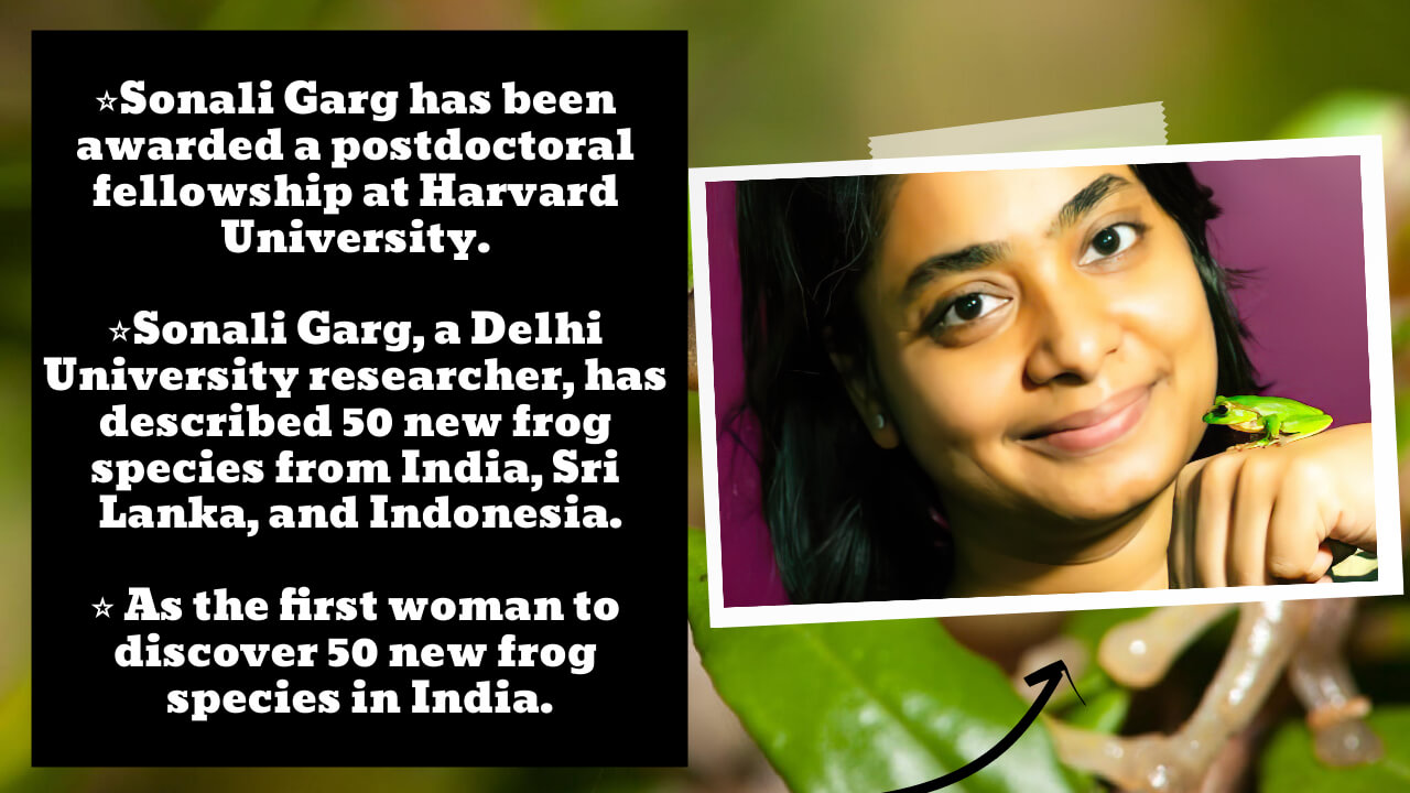 An Indian woman who studies frogs has found more than 50 new species.