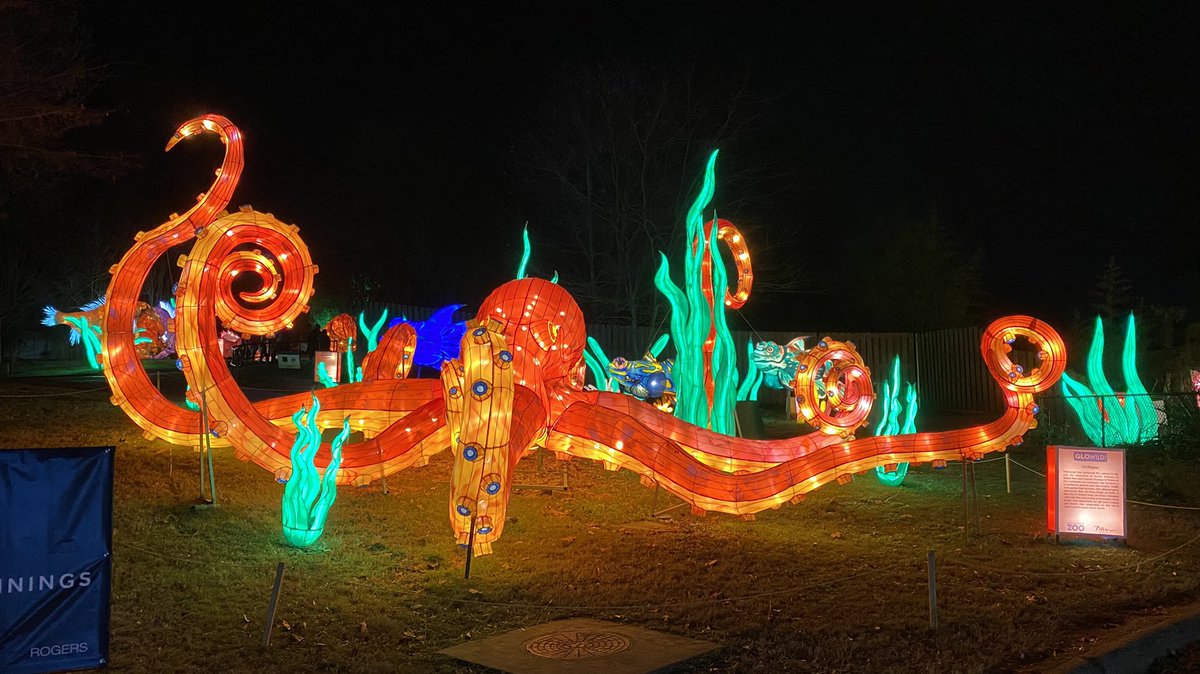 JHardke's tweet photo. Highly recommend the #GloWild event at the #LRZoo. Kids and adults both enjoying it. https://t.co/yLkxyRnZY2