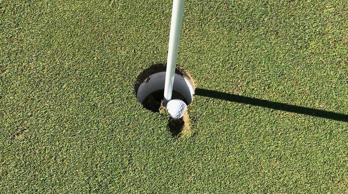 CadeLynch's tweet photo. @TannerLehmann looks like a dog track where nobody fixes divots. This was me today. https://t.co/MiacgJ0rqu