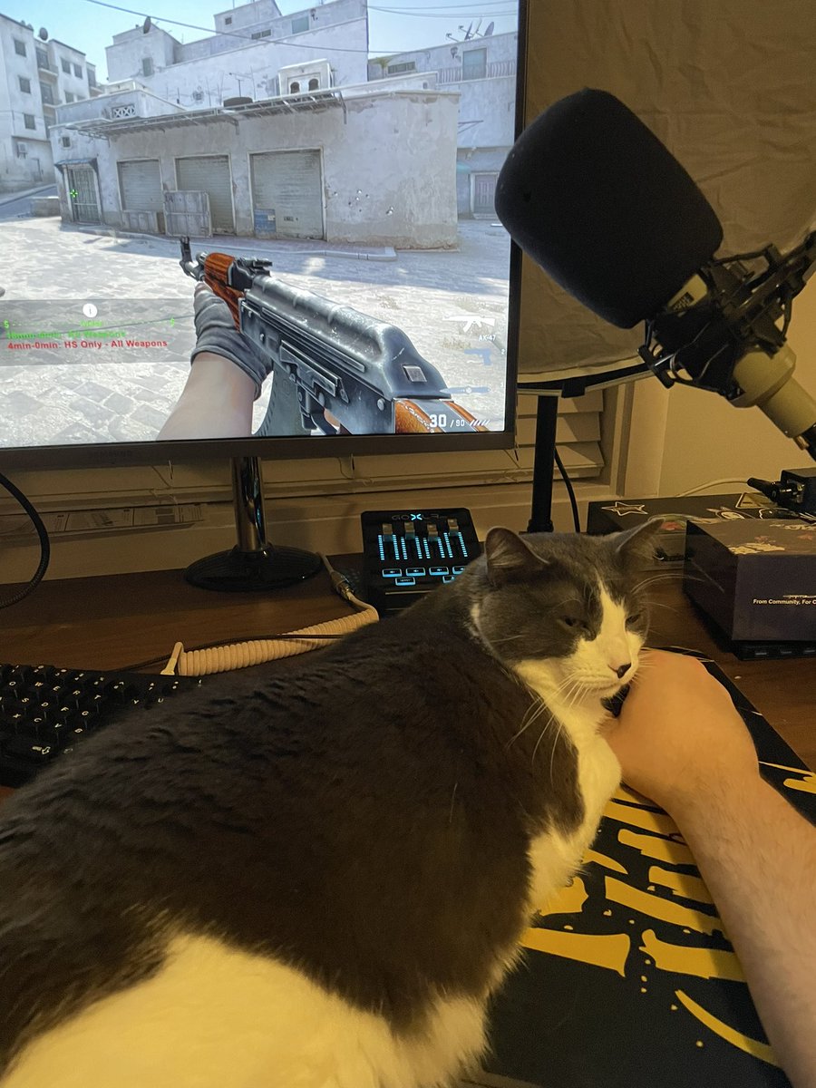voo "cs2” csgo tweet media