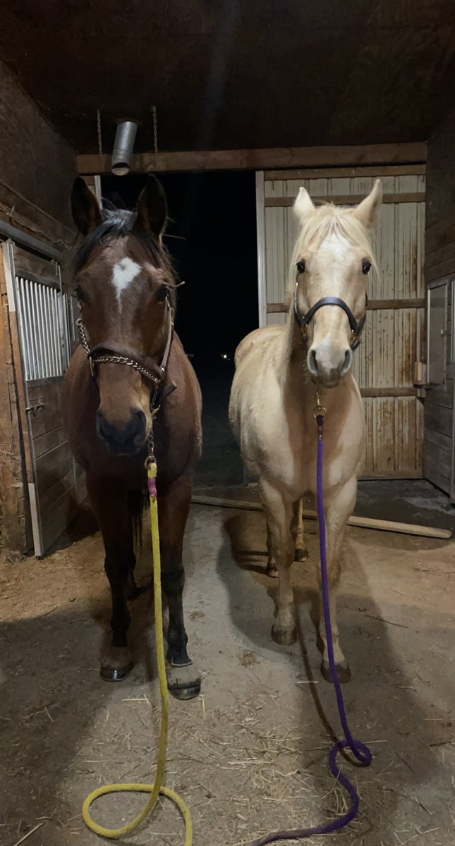 The cutest most out of shape boys ya ever did see and ugh I love them so much