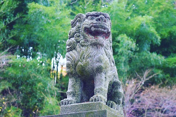 ChannelHaruna's tweet photo. 【狛犬】
【Komainu】
Komainu, sometimes referred to as lion dogs, the guardian statues that can be found guarding the entrance to Shinto shrines as well as temples or even secular sites, come in a massive variety of styles, shapes and forms.

Reference: https://t.co/RBDklm5C9H https://t.co/3CgF7ecoxg