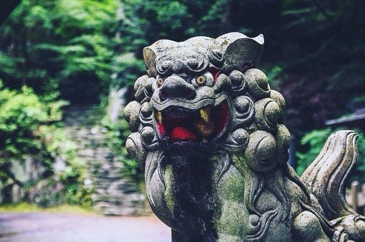 ChannelHaruna's tweet photo. 【狛犬】
【Komainu】
Komainu, sometimes referred to as lion dogs, the guardian statues that can be found guarding the entrance to Shinto shrines as well as temples or even secular sites, come in a massive variety of styles, shapes and forms.

Reference: https://t.co/RBDklm5C9H https://t.co/3CgF7ecoxg