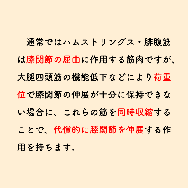 riha_note's tweet photo. 教科書では教えられない筋肉の作用。

ハムストリングス・腓腹筋が膝関節伸展に作用する仕組み💡
大腿四頭筋の筋力低下が、代償的にハムストリングスの筋緊張亢進を生じさせている場面は臨床でもよく見る印象です。 https://t.co/UrGTA0IAMK