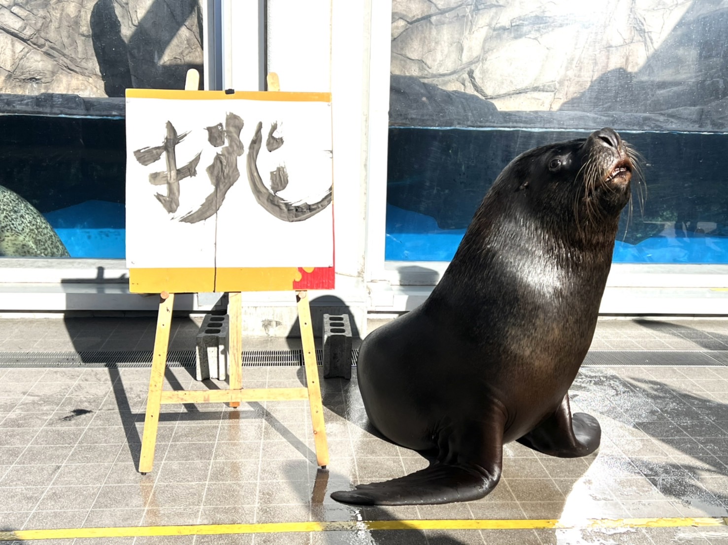 仙台うみの杜水族館公式 Al Twitter 仙台うみの杜水族館 本日 年末の恒例行事 今年の漢字 にちなんで うみの杜の一年を表す漢字をオタリアのチェンくんが披露してくれました 12 31まで１階のひれあし水槽前で掲示しております 皆さまは21年をどんな漢字で