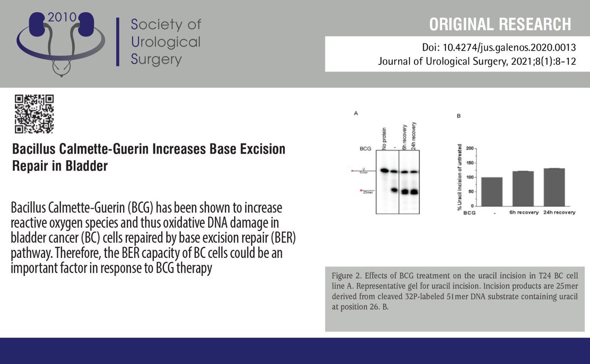 JUsurgery's tweet image. You can read our article Bacillus Calmette-Guerin Increases Base Excision Repair in Bladder Cancer Cells from here!
Here: cms.galenos.com.tr/Uploads/Articl… #Baseexcisionrepair #bladdercancer #BacillusCalmetteGuerin @UrolojikCerrahi @UropediaUCD @MIUD_DERNEGI @Uroonkoloji1999 @Kontinans