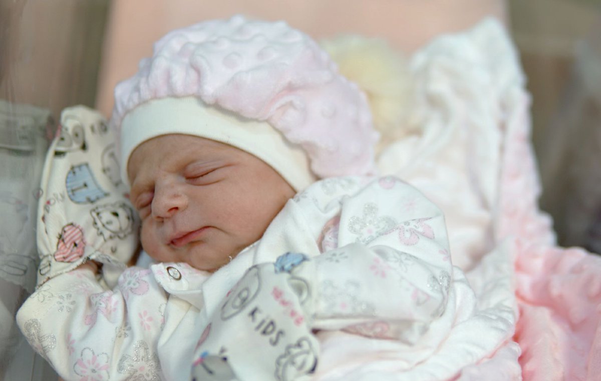 Mahdi Khodadadi tweet media