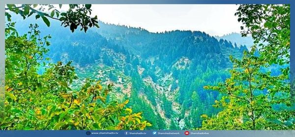 Shamshadnetwork's tweet photo. انځورونه:  کونړ ، دانګام - بینشې سیمه 
📷 : بصیر خان https://t.co/rJb7BvC9ah