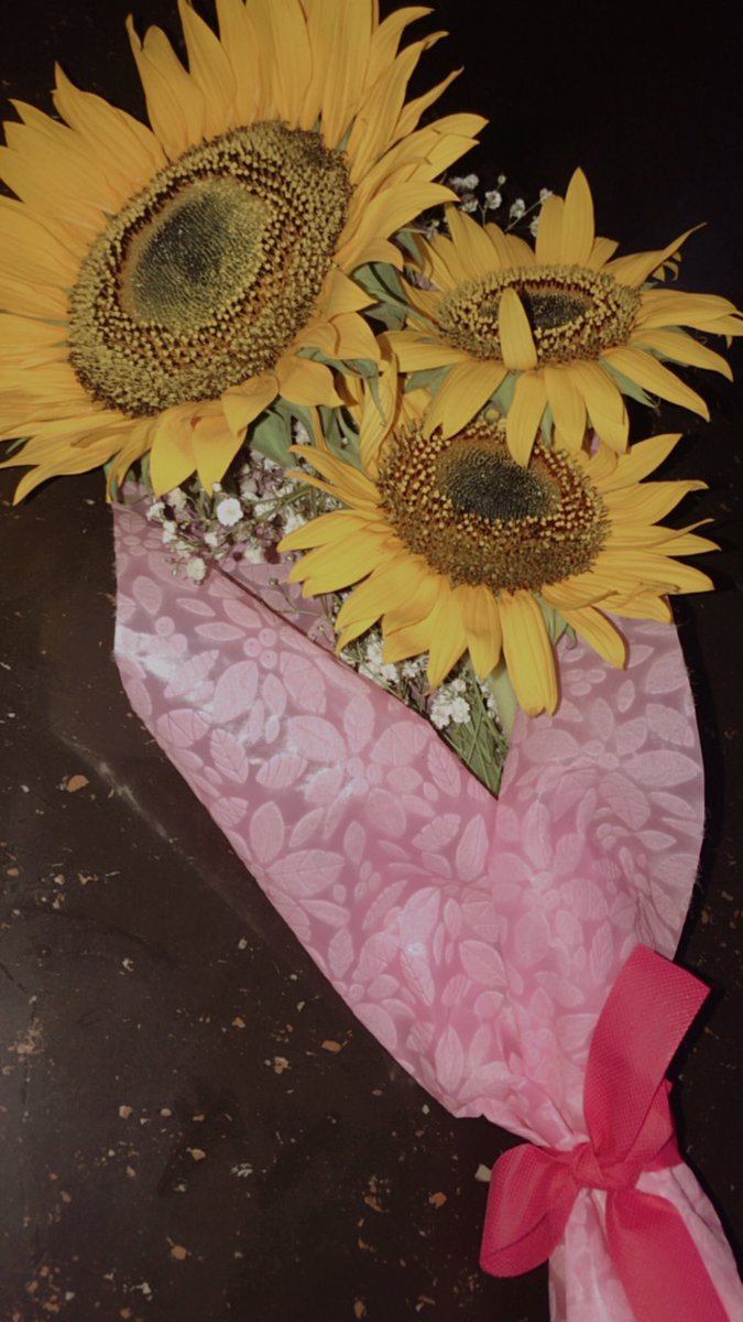 MoncadaYoha's tweet photo. Me encantan los girasoles 😍 https://t.co/SbEwBX1E9Q
