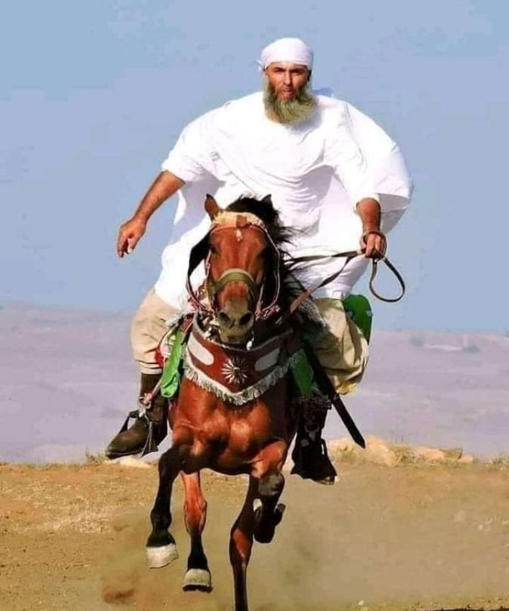 من الذي  حرق  الحشاشة في هواه ؟!