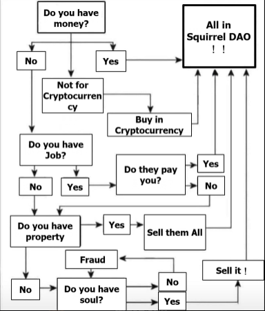 Squirrel DAO(🌰, 🌰) tweet media