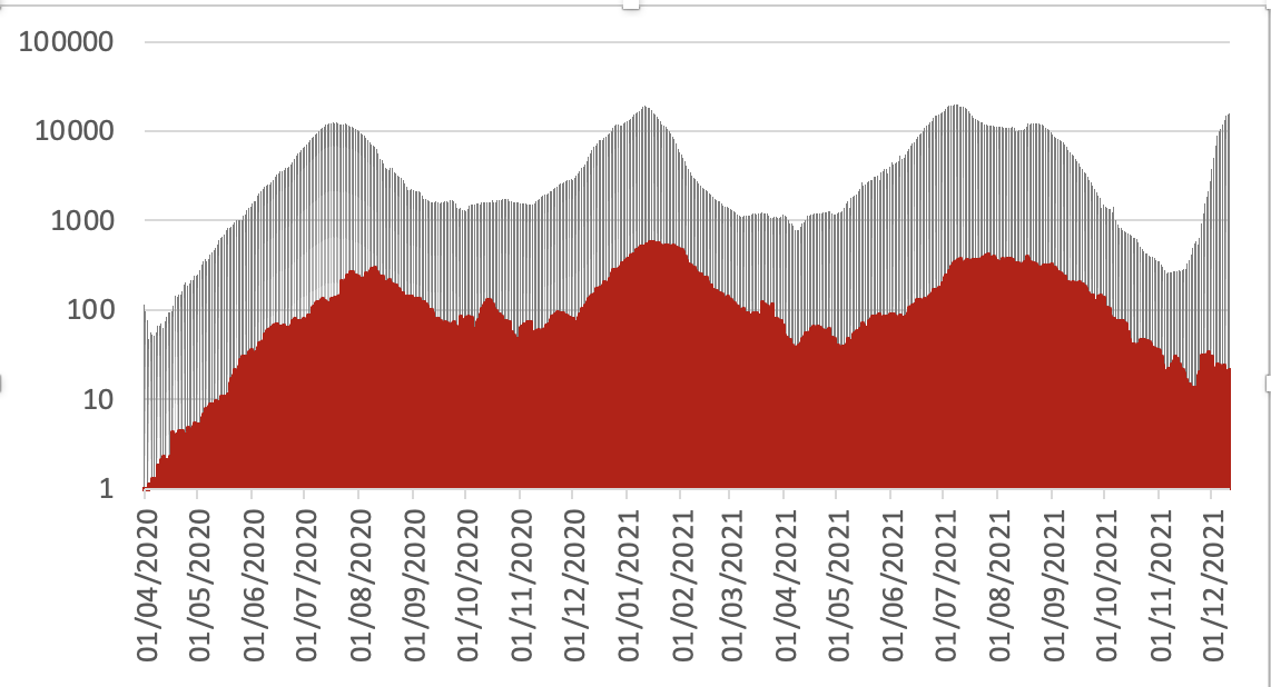 BallouxFrancois's tweet photo. Daily covid cases (grey) and daily deaths (red) in South Africa since March 2020. The data is shown in log10 scale, smoothed and 'unlagged' (i.e. cases and deaths reported on the same day). https://t.co/Wp1aUMHmyT