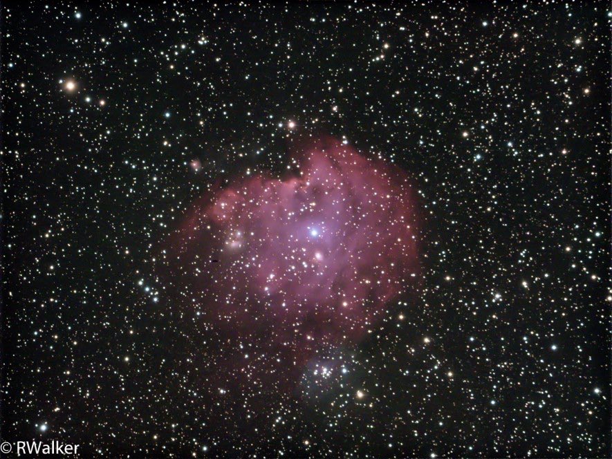 RitcheyW's tweet photo. #astrophotography #Monkeyhead or #NGC2174 , #monkey head …. Either way, taking Saturday morning around 3:30 100@60 seconds, flats,darks ….1st time shooting this , pretty #cool https://t.co/WqAN50130I