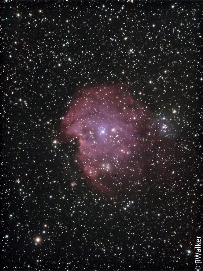 RitcheyW's tweet photo. #astrophotography #Monkeyhead or #NGC2174 , #monkey head …. Either way, taking Saturday morning around 3:30 100@60 seconds, flats,darks ….1st time shooting this , pretty #cool https://t.co/WqAN50130I
