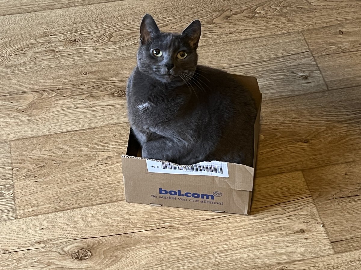 justroebbie's tweet photo. Thx ⁦@bol_com⁩ Lana is ook erg blij met jullie 😺🐈‍⬛🐾 #poesindoos #doos #happy #cathappy #pakket #smile https://t.co/dpmF7gC3lq