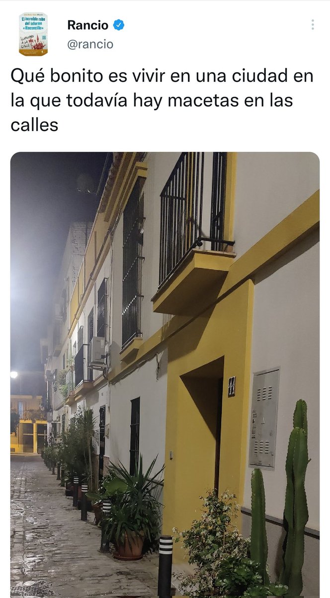 Rancio on Twitter: "Ojo a esta bonita historia. El sábado publiqué esto porque paseé por Macarena https://t.co/NtmlRcdHSJ" / Twitter