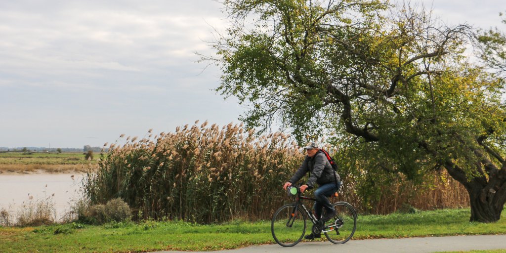 RochefortOcean's tweet photo. 💡#MondayMotivation Profitez des éclaircies pour faire une petite balade à #vélo le long de la #Charente ☀️🚲
Découvrez nos itinéraires pédestres et cyclables 👉 https://t.co/K5INSXDDjk
© Julie Paulet 📷
#RochefortOcean #velotourisme #flowvelo #velodyssee https://t.co/7EuWgKx08L