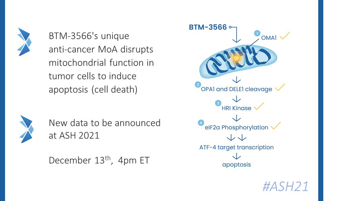 bantampharma's tweet photo. Later today Dr Adrian Schwarzer of @HannoverMh will present data on our lead candidate BTM-3566 at #ASH21. 
Initially focused on #DLBCL, BTM-3566's unique anti-cancer MoA disrupts mitochondrial function in tumor cells to induce apoptosis (cell death).

#Oncology #HemOnc https://t.co/PxEzKLBvDE