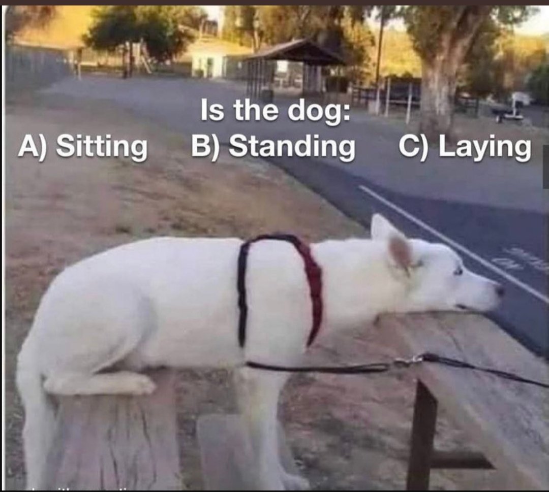 JunnuKi's tweet photo. CBSE EXAM OPTION BE LIKE:
#CBSE #cbseterm #MissUniverse2021 #cbsechemistry #cbsephyscies https://t.co/UzRmh4fxZd