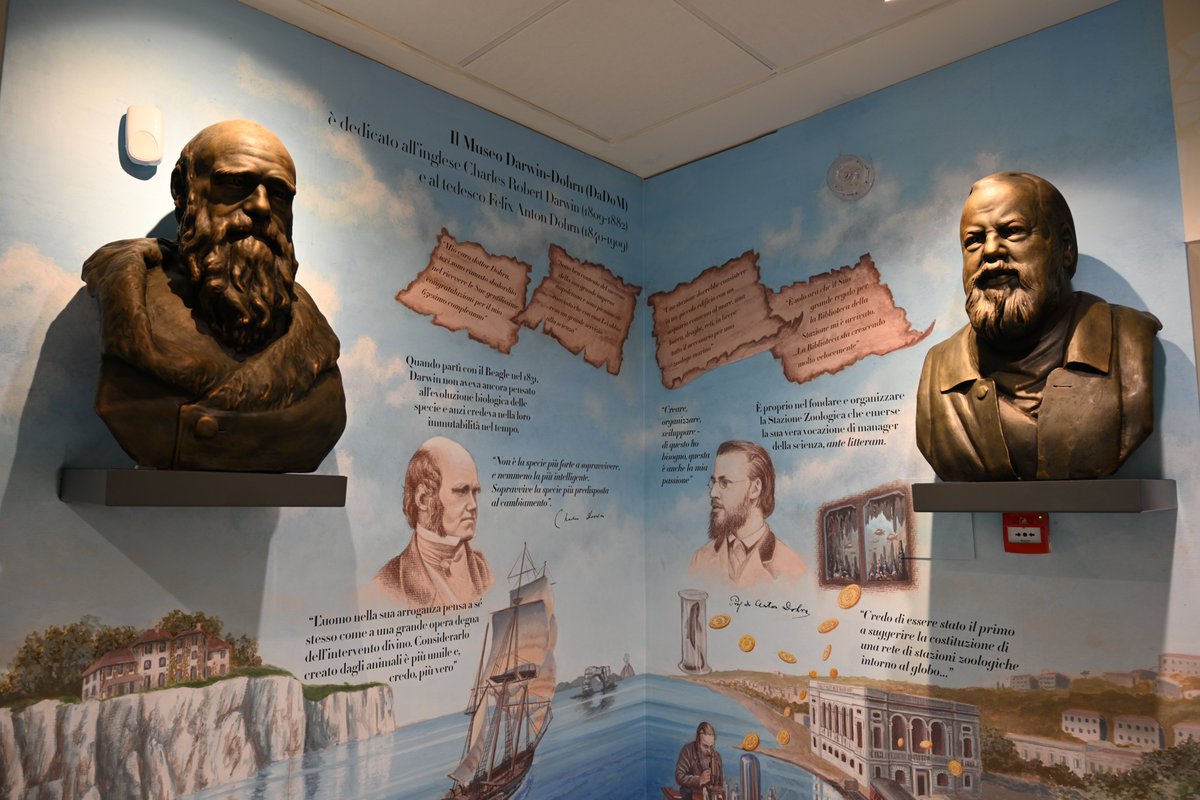Radio3scienza's tweet photo. La fitta corrispondenza tra #CharlesDarwin e #AntonDohrn è ripercorsa al #DaDoM, il nuovo museo #Darwin #Dohrn di #Napoli della @SznDohrn: @r_danovaro ora in onda https://t.co/E0cm5mhH4l