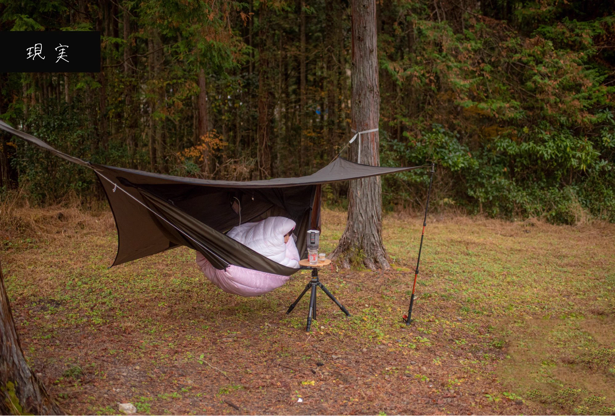 冬のハンモック泊の朝、 理想と現実の差に笑ってしまう。