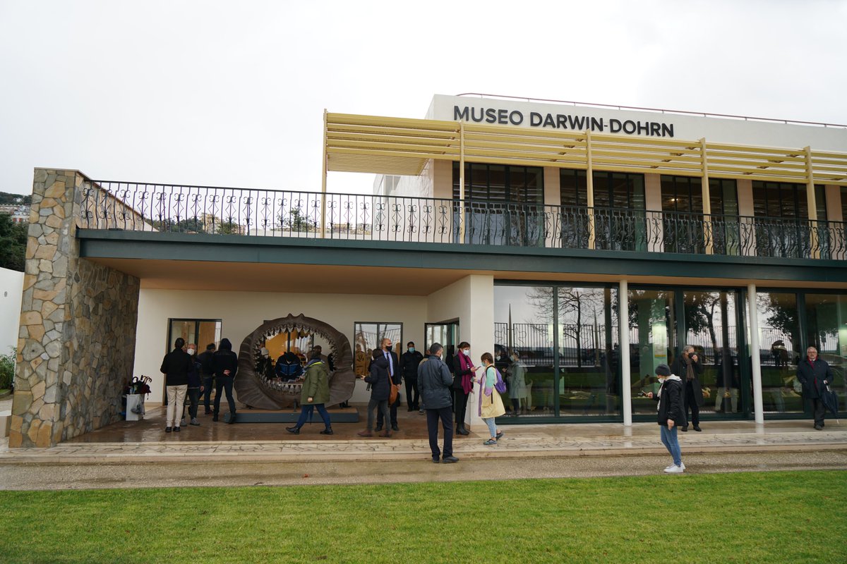 Radio3scienza's tweet photo. Una collezione, ma anche un luogo di ricerca e di contatto con le scuole: lo spirito del #DaDoM, il neonato museo #Darwin #Dohrn di #Napoli della
@SznDohrn
#evoluzione #biologiamarina https://t.co/6HNpRPKIij