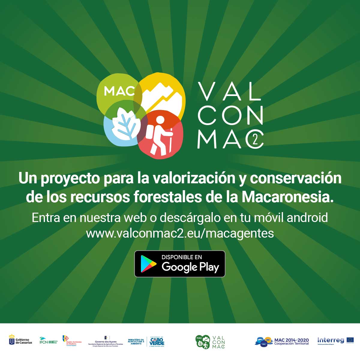 valconmac2's tweet photo. El juego SPECIES INVADERS, esta basado en el juego de hacer tres en línea, jugando en el tablero de la supervivencia a los iconos del proyecto REDEXOS, poniendo en manos del jugador el control#tresenlinea

Juega ya online: https://t.co/jsdsGCawKv

🌳💚
 #valconmac2 #ASMAC https://t.co/CgBA3j8vZg