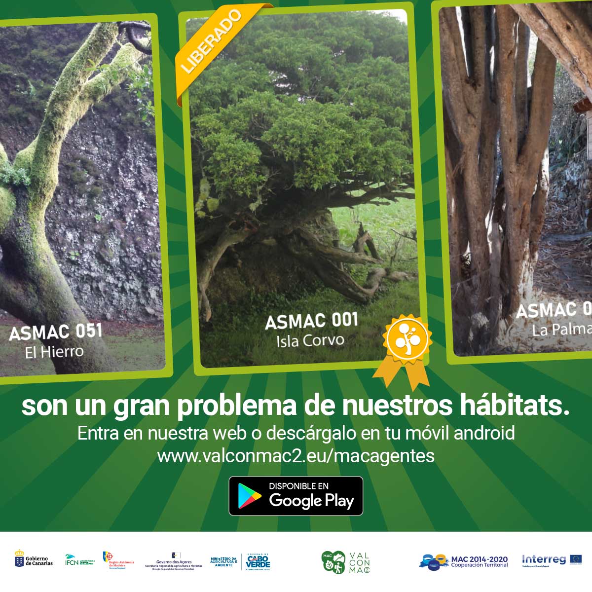 valconmac2's tweet photo. El juego SPECIES INVADERS, esta basado en el juego de hacer tres en línea, jugando en el tablero de la supervivencia a los iconos del proyecto REDEXOS, poniendo en manos del jugador el control#tresenlinea

Juega ya online: https://t.co/jsdsGCawKv

🌳💚
 #valconmac2 #ASMAC https://t.co/CgBA3j8vZg