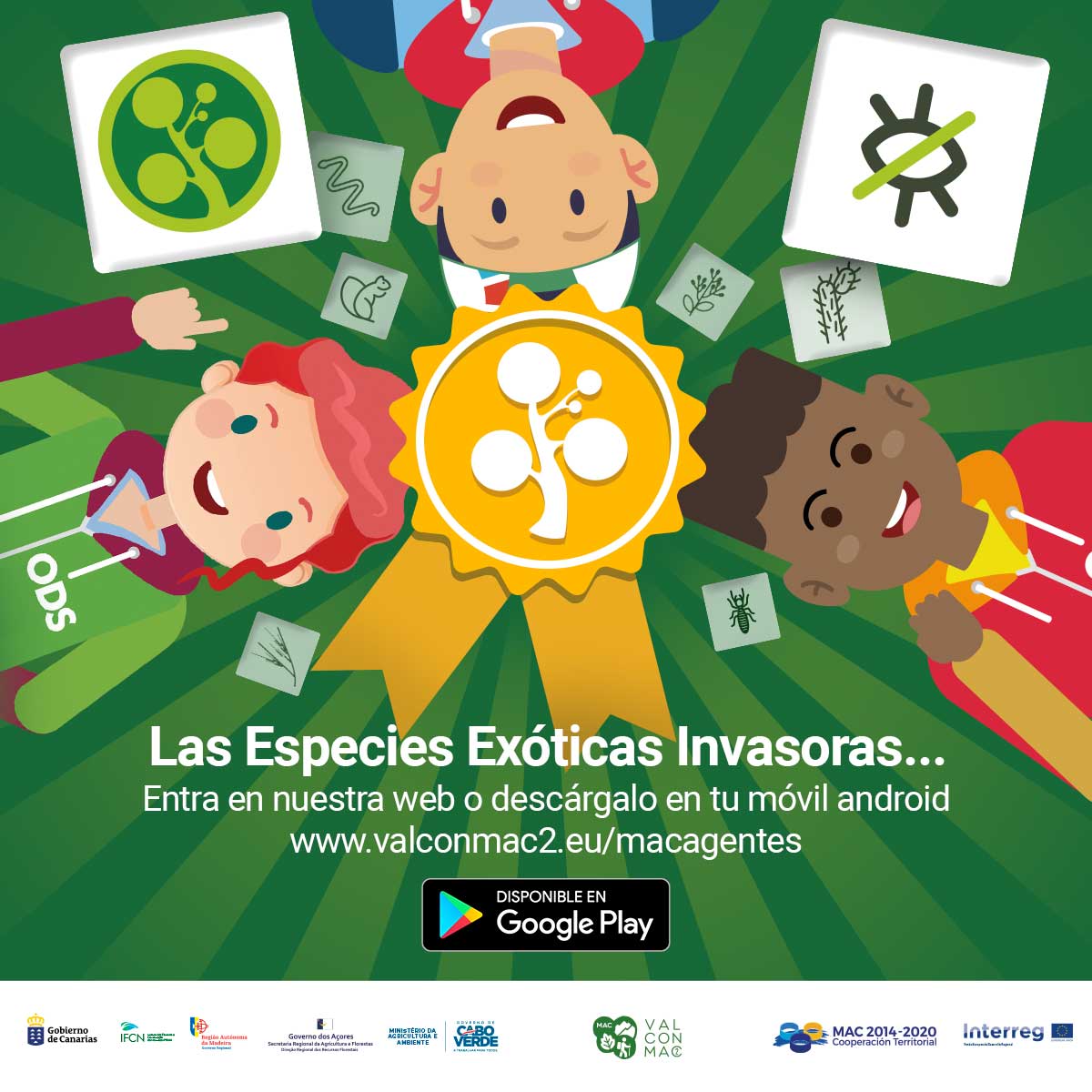 valconmac2's tweet photo. El juego SPECIES INVADERS, esta basado en el juego de hacer tres en línea, jugando en el tablero de la supervivencia a los iconos del proyecto REDEXOS, poniendo en manos del jugador el control#tresenlinea

Juega ya online: https://t.co/jsdsGCawKv

🌳💚
 #valconmac2 #ASMAC https://t.co/CgBA3j8vZg