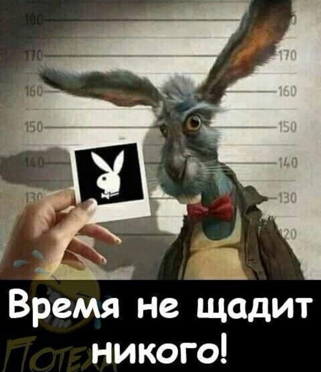 Мармеладное Королевство (@sweetkingdommsc) on Twitter photo 