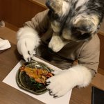 294松下のツイート画像