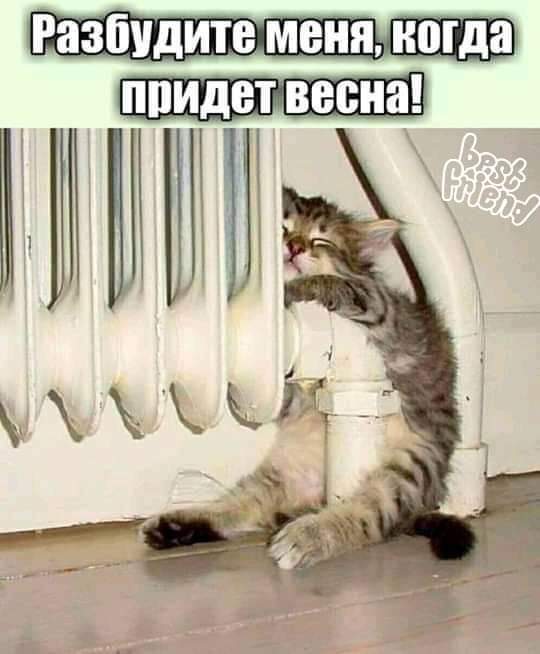 Мармеладное Королевство (@sweetkingdommsc) on Twitter photo 