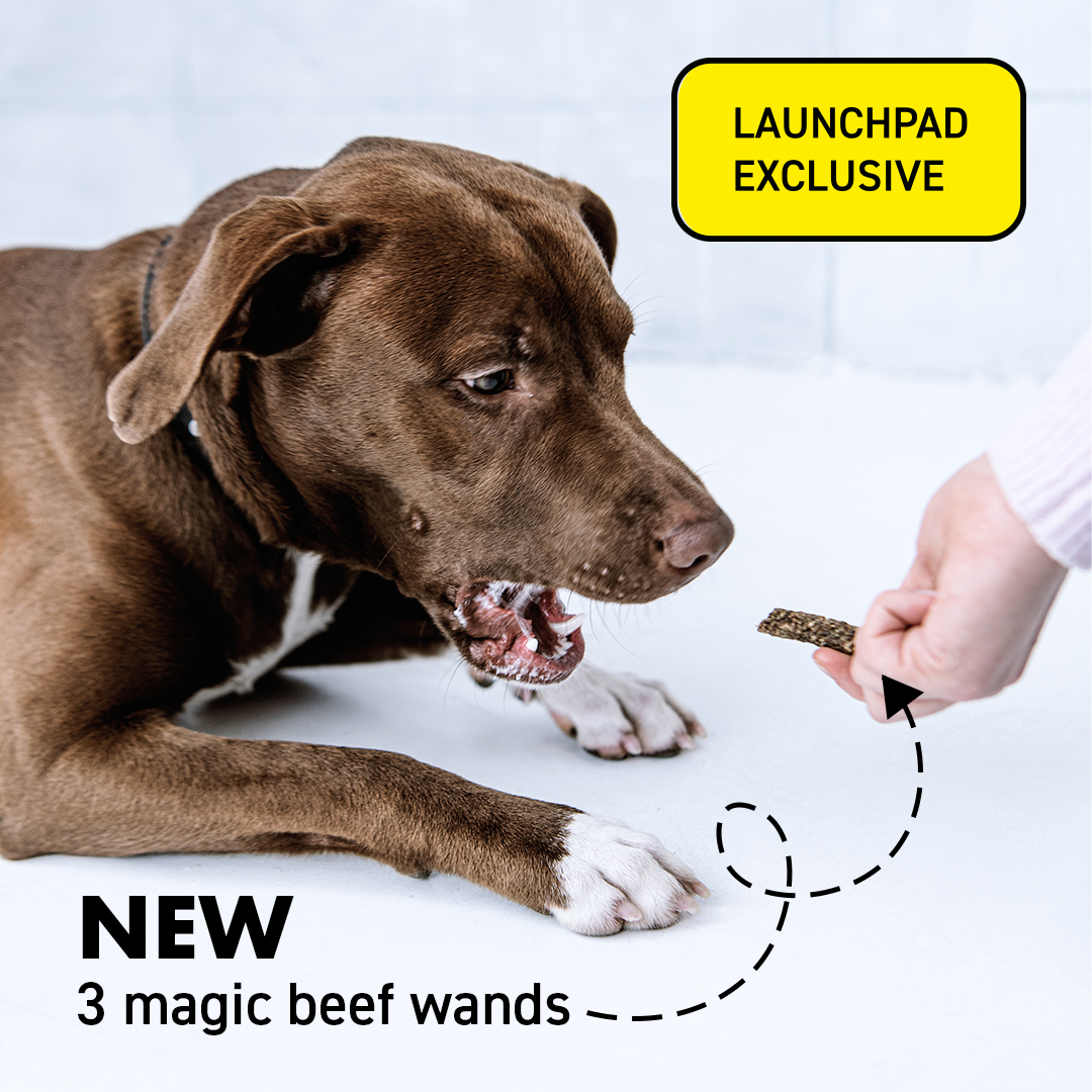 Introducing our limited edition 3 musketeers - Beef lungs, kidneys &amp; heart sticks. ⏳

Learn more about our limited edition treats here → gorocketo.com/exclusive-prod… 

#rawdoguk #rawdogfood #organicdogtreats