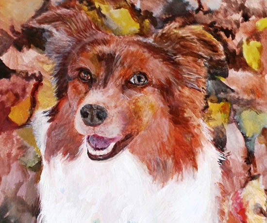 Limerick_ie's tweet photo. Christmas is the perfect opportunity to spoil your furry friends! 🐶 We’ve rounded up a range of gift ideas from local sellers to ensure your pet has a pawsome Christmas and help you support Limerick businesses 💚

https://t.co/4BkS3FHxA7 

#ChristmasInLimerick #ShopLimerick https://t.co/plyipVz3kw