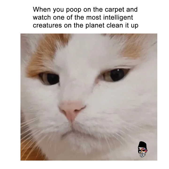 smrtsg's tweet image. They will feed you too.