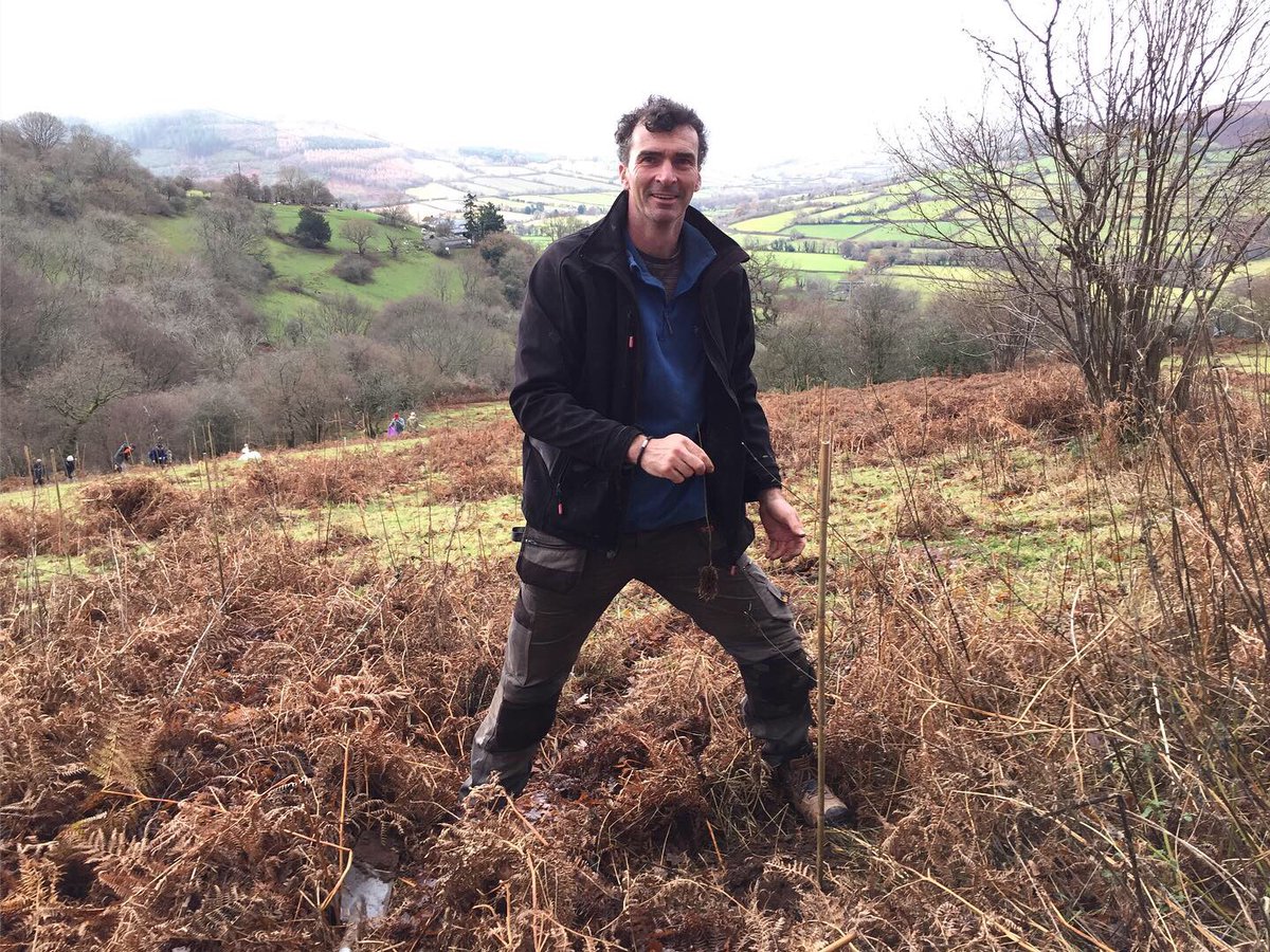 Fab weekend planting 1500+ broadleaf trees on marginal agricultural land in the Black Mountains. Massive thanks to all our volunteers, to @CoedCadw for the saplings and to everyone who has donated to our wee charity over the year. Making the change. Whoop! 🙏🌳💪🌳