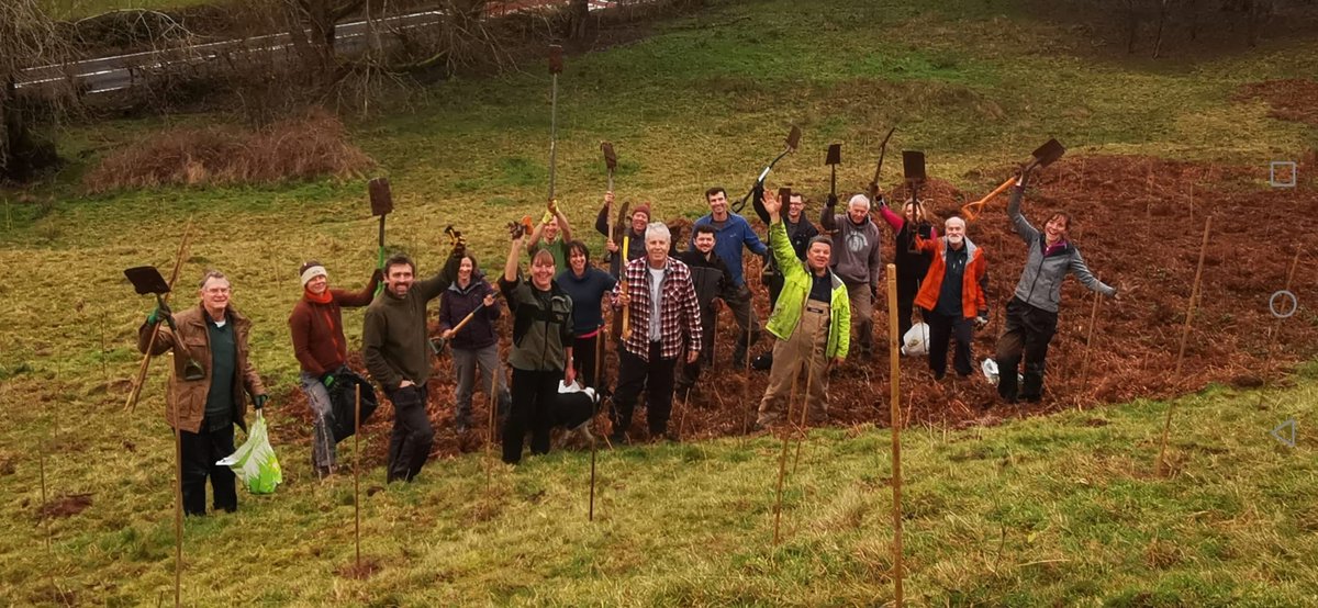 Stumpupfortrees's tweet photo. Fab weekend planting 1500+ broadleaf trees on marginal agricultural land in the Black Mountains. Massive thanks to all our volunteers, to @CoedCadw for the saplings and to everyone who has donated to our wee charity over the year. Making the change. Whoop! 🙏🌳💪🌳 https://t.co/jVfJKkfDMY