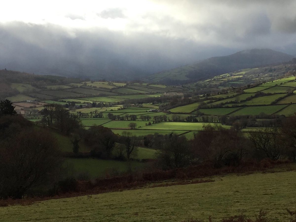 Stumpupfortrees's tweet photo. Fab weekend planting 1500+ broadleaf trees on marginal agricultural land in the Black Mountains. Massive thanks to all our volunteers, to @CoedCadw for the saplings and to everyone who has donated to our wee charity over the year. Making the change. Whoop! 🙏🌳💪🌳 https://t.co/jVfJKkfDMY