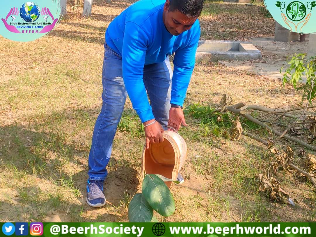 BeerhSociety's tweet photo. #BEERH Warriors Planted 3 saplings (1 Banyan Ficus benghalensis,1 Peepal Ficus religiosa.1 Pilkhan Ficus virens) at Water Works of Village Mehmuana Faridkot. On this event Sarpanch Satpal Singh, Sukhmandar Singh, Master @drjeetenderpau supported the #Plantation drive. #Nature https://t.co/k7gIWjUuWF