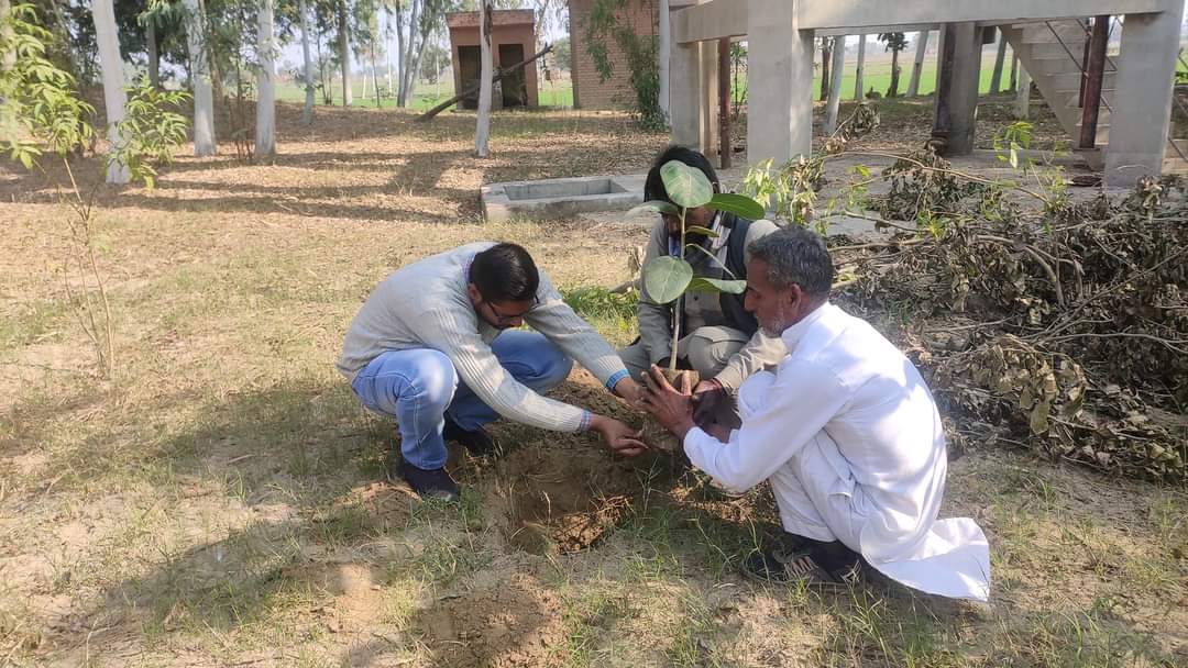 BeerhSociety's tweet photo. #BEERH Warriors Planted 3 saplings (1 Banyan Ficus benghalensis,1 Peepal Ficus religiosa.1 Pilkhan Ficus virens) at Water Works of Village Mehmuana Faridkot. On this event Sarpanch Satpal Singh, Sukhmandar Singh, Master @drjeetenderpau supported the #Plantation drive. #Nature https://t.co/k7gIWjUuWF