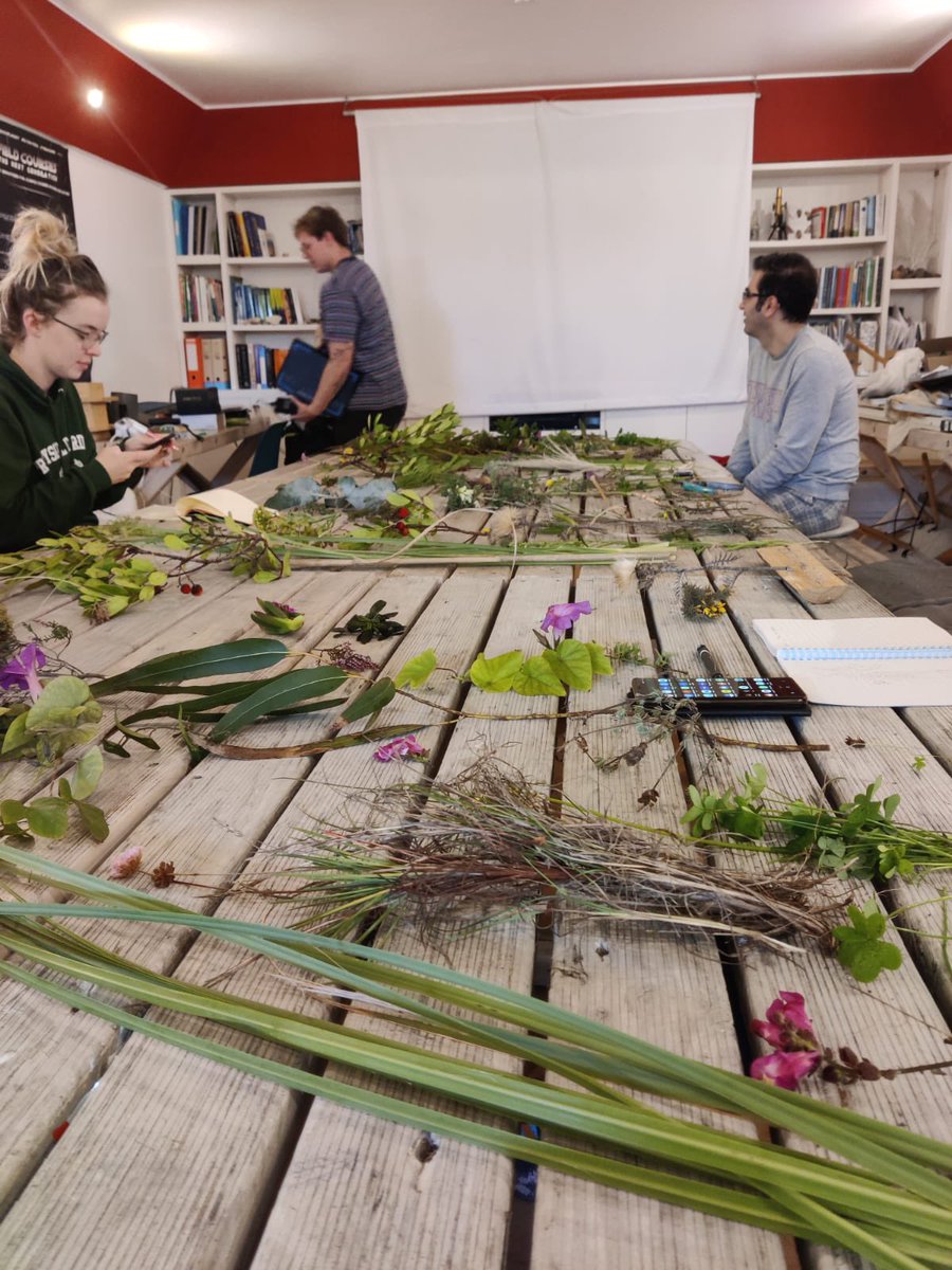 Had a fantastic time in Portugal discussing our recent work on plant blindness with other ERCs at the CERES project. W/ @_niahjones <a href="/MurielPlaster/">Muriel</a> <a href="/KatKonCoast/">Kat Konstantinou</a>